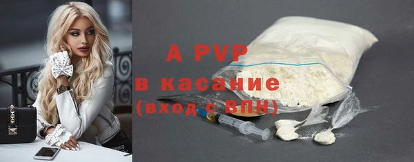 PSILOCYBIN Богданович