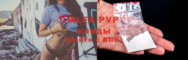 стафф Богородицк
