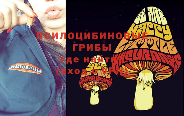 стафф Богородицк