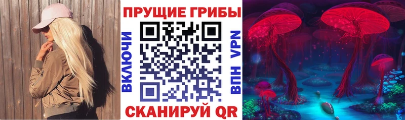 Купить где  Камешково  Галлюциногенные грибы Cubensis 